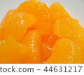 橘子 44631217