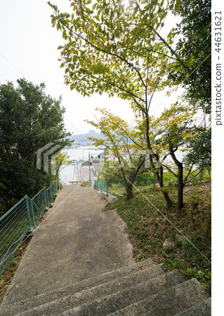 Approach to colored trees (Kagawa Prefecture Prince Shrine) Approach to colored trees (Kagawa Prefecture Prince Shrine) 44631621