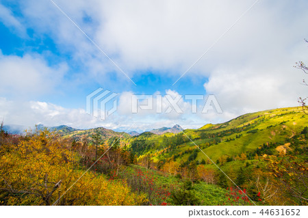 長野志賀高原秋[秋葉] 44631652