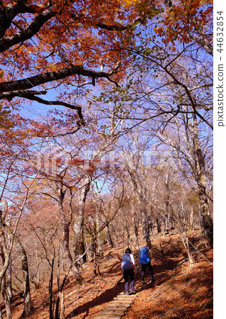 Late autumn trekking Late autumn trekking 44632854