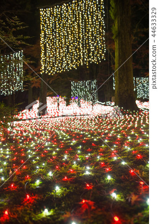 Irumina-et al, Illumination, Nara, Japan 44633329