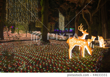 Irumina-et al, Illumination, Nara, Japan 44633331