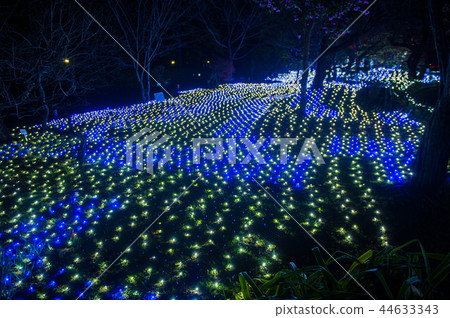 Irumina-et al, Illumination, Nara, Japan 44633343