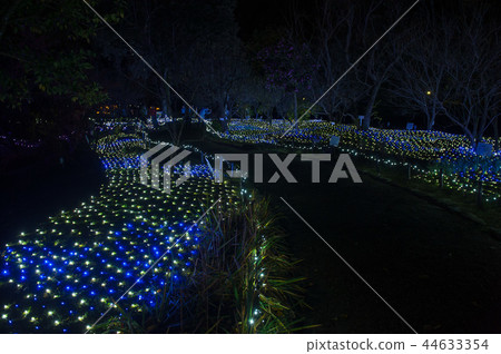 Irumina-et al，Illumination，Nara，Japan 44633354