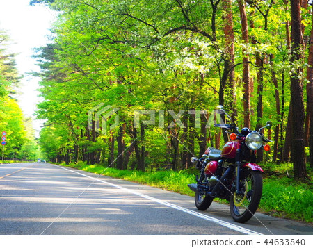 Forest and bike 44633840