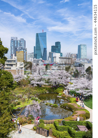 Tokyo Roppongi Hills Cherry blossom garden cherry blossoms 44634115