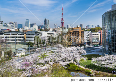 東京六本木新城櫻花園櫻花 44634117