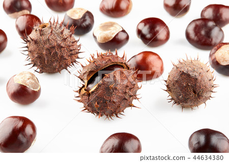 Chestnuts with brown thorny peel 44634380