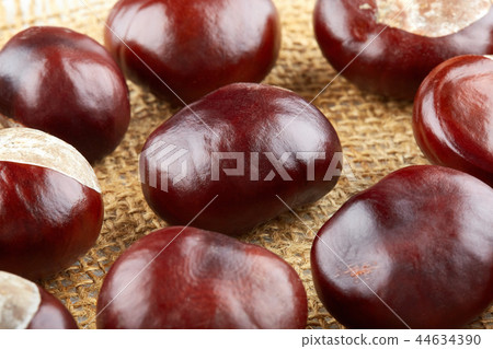Many peeled chestnuts lie on hessian Many peeled chestnuts lie on hessian 44634390