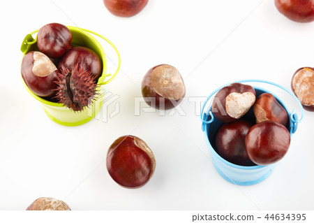 Colorful buckets with chestnuts Colorful buckets with chestnuts 44634395