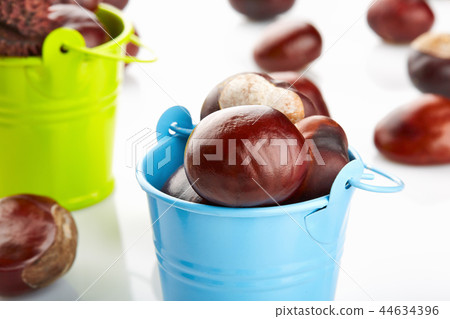 Colorful buckets with chestnuts 44634396
