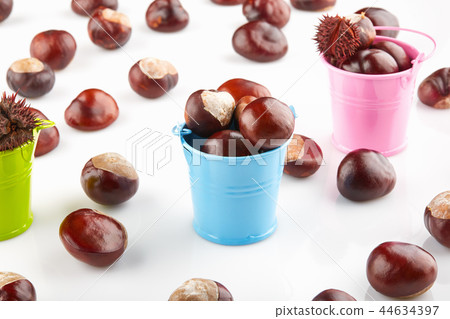 Colorful buckets with chestnuts Colorful buckets with chestnuts 44634397