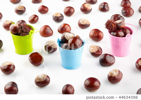 Colorful buckets with chestnuts Colorful buckets with chestnuts 44634398