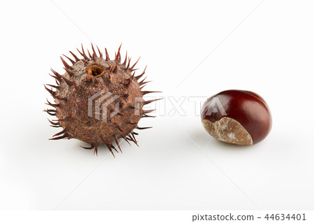 Two chestnuts with thorny peel on white background 44634401