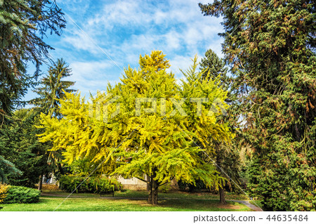 Autumn scene in Bojnice, Slovakia 44635484