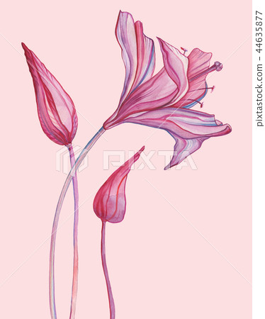Watercolor Abstract Flower. Hand Drawn Floral Pattern Watercolor Abstract Flower. Hand Drawn Floral Pattern 44635877