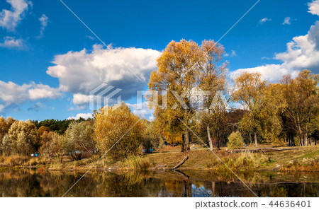 reflected in a forest lake autumn trees reflected in a forest lake autumn trees 44636401