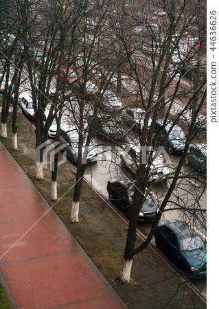 Top view of a street with trees and parked cars 44636626