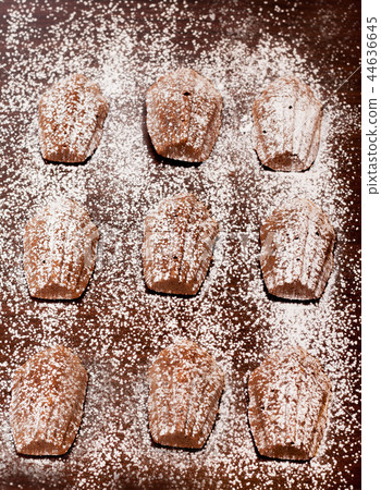 Madeleine cake in dark background Madeleine cake in dark background 44636645