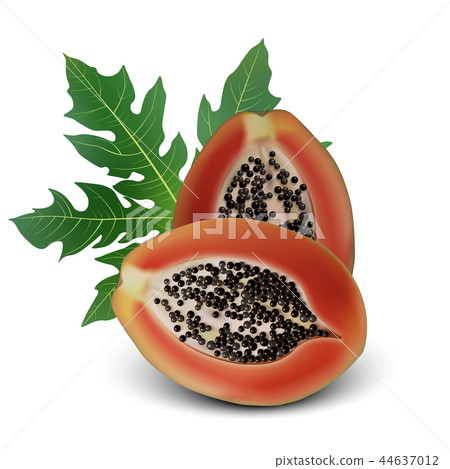 Realistic 3d Papaya with leaf. Detailed 3d Realistic 3d Papaya with leaf. Detailed 3d 44637012