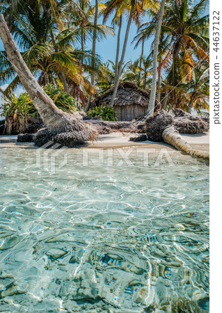 small island with palm trees and bungalow / house  44637122