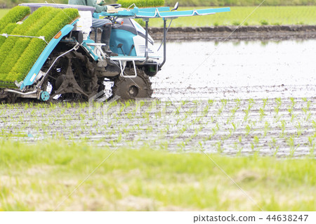 Rice planting agriculture rice planting machine 44638247
