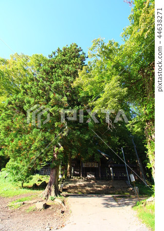 Suwa Taisha (Jeisha Maemiya) Suwa Taisha (Jeisha Maemiya) 44638271
