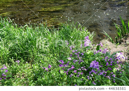 On one spring day On one spring day 44638381