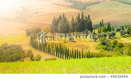 Evening in Tuscany. Hilly Tuscan landscape with cypress trees alley and farm house, Italy 44638444
