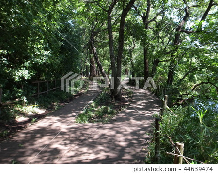 三埠寺 三埠寺 44639474