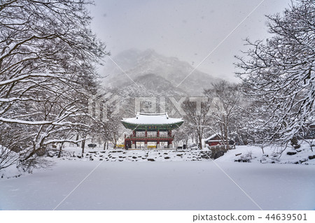 Jeonnam ChangSung County Snowy Baekyang Temple 44639501