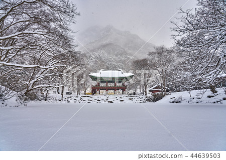 Jeonnam ChangSung County Snowy Baekyang Temple 44639503