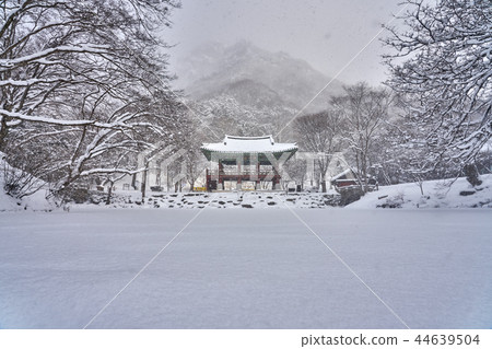 Jeonnam ChangSung County Snowy Baekyang Temple 44639504
