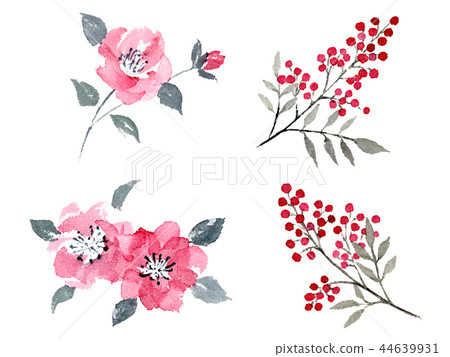 Camellia Nanten Aya ink painting 44639931