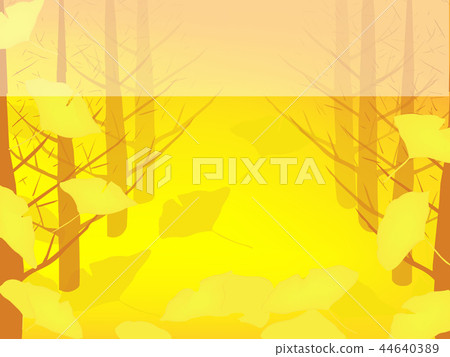 銀杏樹排列著落葉 44640389
