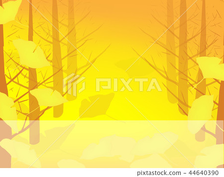 銀杏樹排列著落葉 銀杏樹排列著落葉 44640390