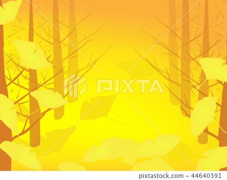 銀杏樹排列著落葉 銀杏樹排列著落葉 44640391