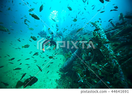 shipwreck, diving on a sunken ship, underwater landscape 44641691