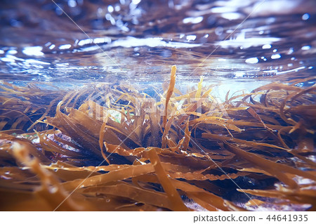 sea water texture, underwater background 44641935
