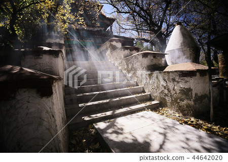 city view in Tibet china 44642020