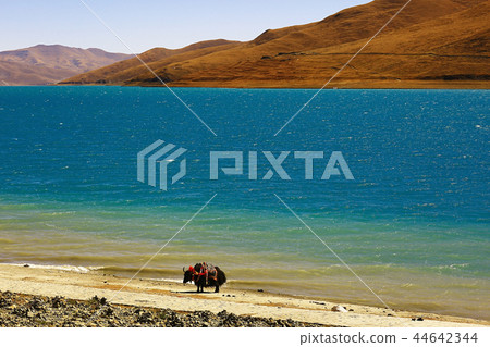 sacred lake in tibet landscape 44642344