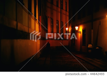 street in Prague czech republic / landscape view in the city, the European capital of the czech republic, Prague Castle street in Prague czech republic / landscape view in the city, the European capital of the czech republic, Prague Castle 44642493