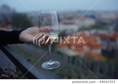 glass of white wine in the restaurant / white wine in the interior of the restaurant a table with glasses of wine, a romantic summer 44642503