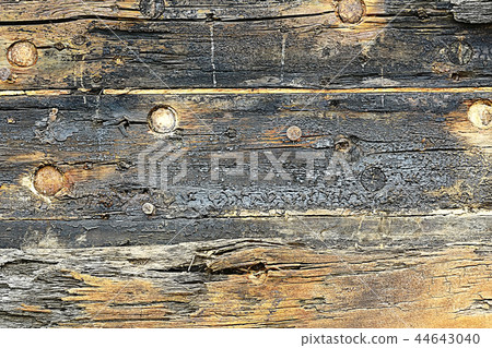 texture background old logs/abstract gray nature background; texture background old logs/abstract gray nature background; 44643040