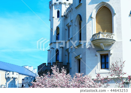 park in czech republic / landscape in a park recreation area in the capital of the czech republic, Prague Castle rest tourism park in czech republic / landscape in a park recreation area in the capital of the czech republic, Prague Castle rest tourism 44643253