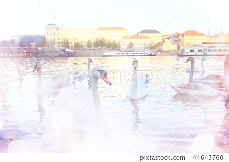 pink Prague background and red roofs / background of the blurred landscape of the czech republic, Prague, panoramic view of the red roofs of Prague 44643760