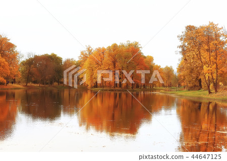 pond in an autumn park / landscape by the water in autumn forest, reflections of autumn trees and twigs the water of a cold pond. Fallen leaves water. Leaf fall on a pond city park pond in an autumn park / landscape by the water in autumn forest, reflections of autumn trees and twigs the water of a cold pond. Fallen leaves water. Leaf fall on a pond city park 44647125
