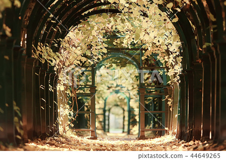 autumn alley in the park / autumn walk in the city park, weekends alone. The concept of calm and autumn freshness among trees and branches with yellow leaves autumn alley in the park / autumn walk in the city park, weekends alone. The concept of calm and autumn freshness among trees and branches with yellow leaves 44649265