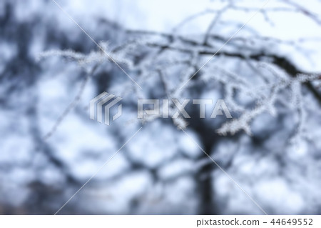 Blurred background defocus Blurred background defocus 44649552