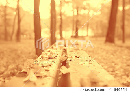 landscape bench in autumn park / October landscape in yellow park, autumn background landscape bench in autumn park / October landscape in yellow park, autumn background 44649554